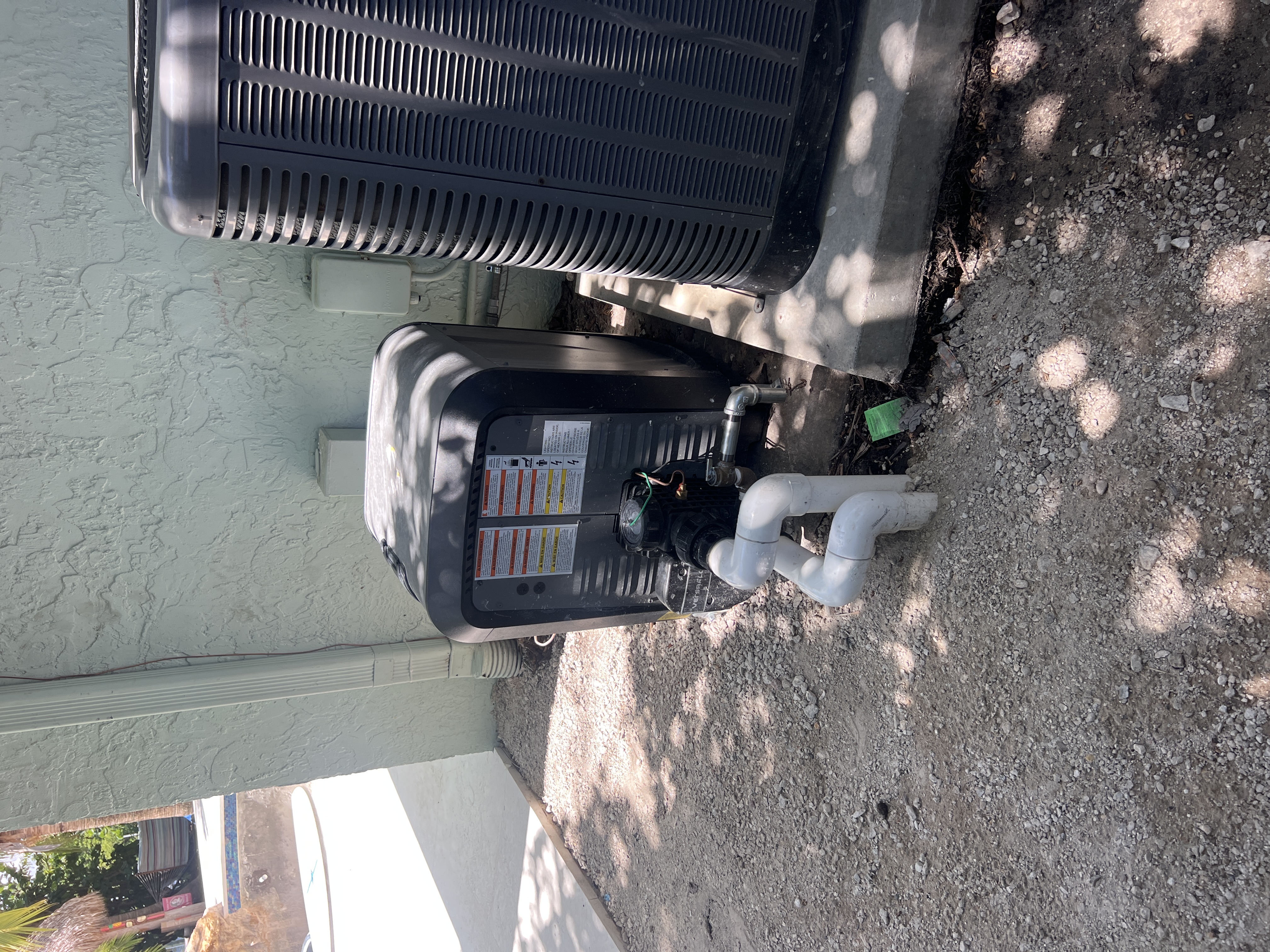 Imagem de Applewhite