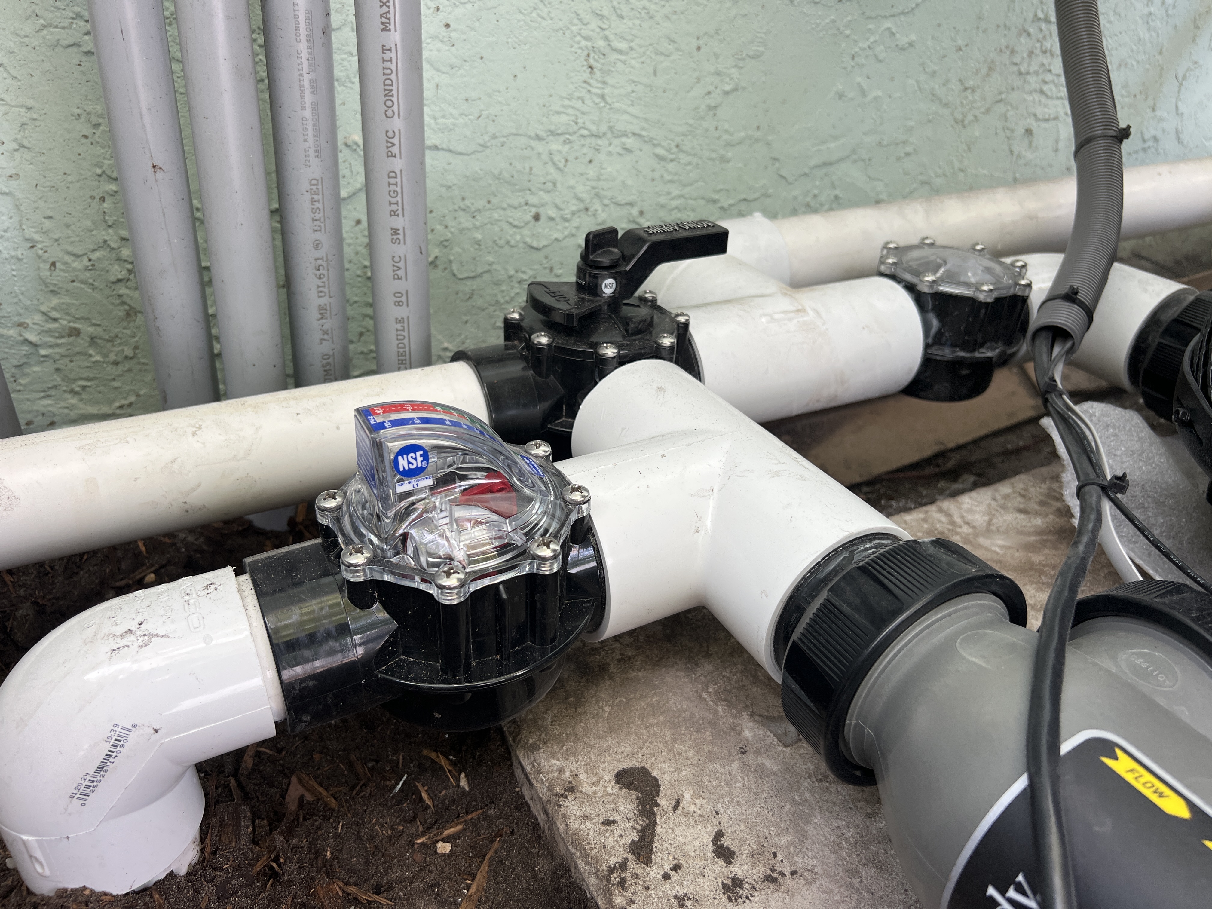 Imagem de Applewhite