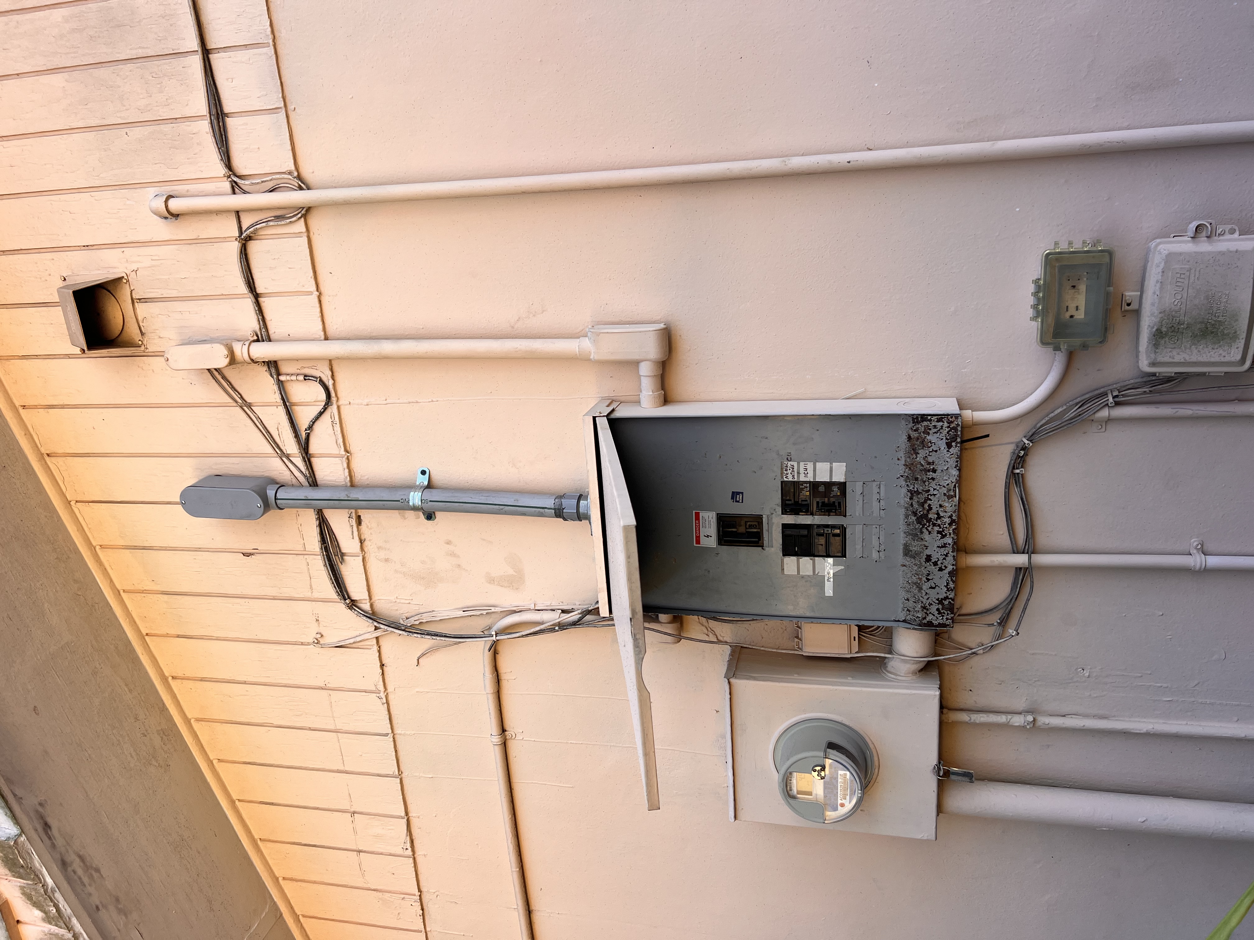 Imagem de Mary  Murphy