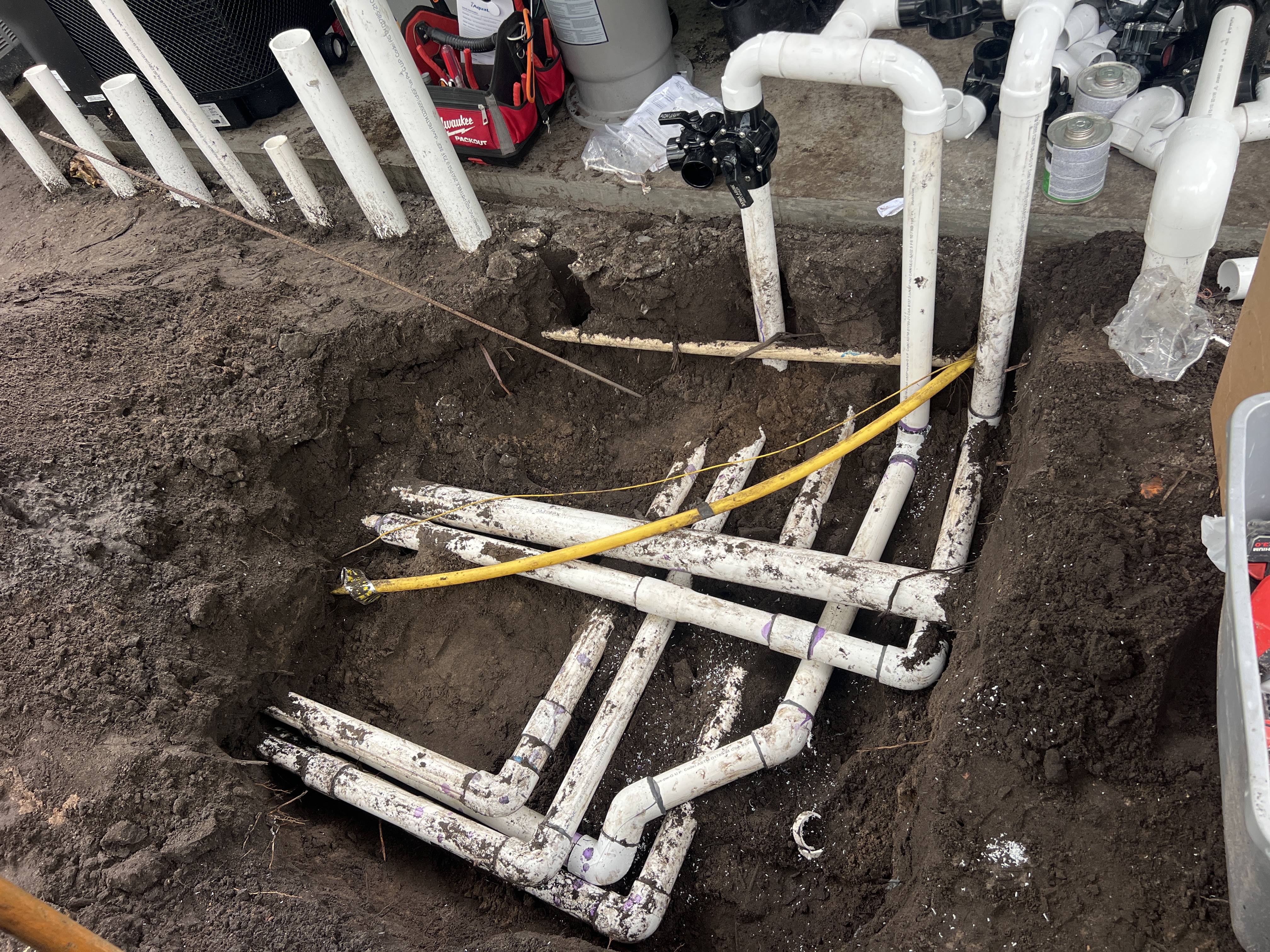 Imagem de Applewhite